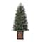 4.5ft. Pre-Lit Brookdale Fir Artificial Potted Christmas Tree, Color Changing T5 LED Lights